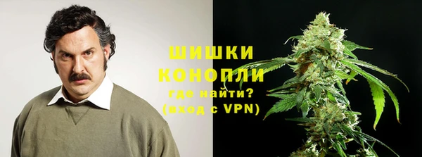 PSILOCYBIN Богородицк